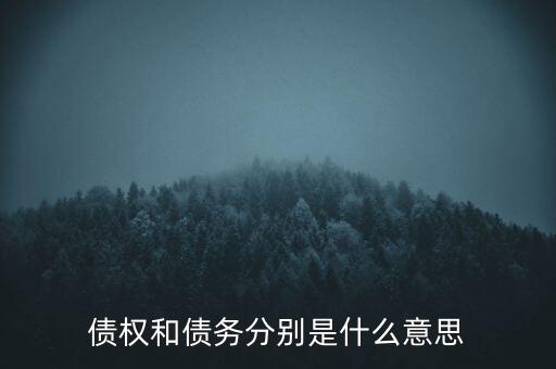 bsp票款債權是什么，銀行理財業(yè)務里面的liborbsp是什么意思