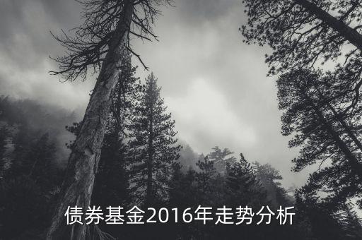 2016年的債券的投資的方向是什么，債券基金2016年走勢分析