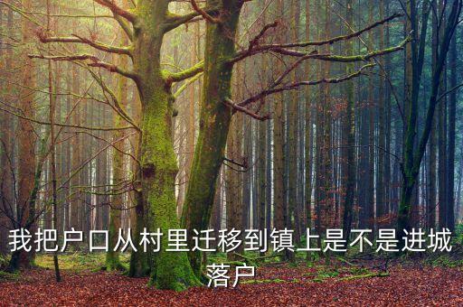 進(jìn)城落戶(hù)是什么意思，進(jìn)城務(wù)工人員隨遷子女是什么意思