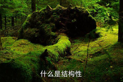 什么是結構性