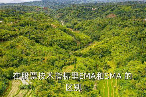 sma在黃金技術(shù)分析里是什么意思，在股票技術(shù)指標(biāo)里EMA和SMA 的區(qū)別