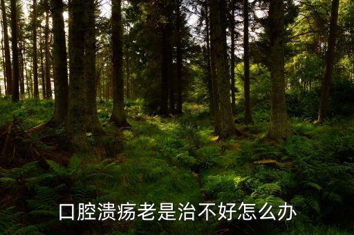 云南咖啡豆在什么時候采摘，云南小?？Х仍趺闯砸髥?/></a></span><span id=
