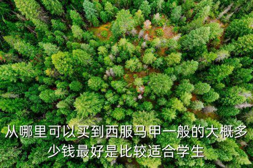 什么牌子賣(mài)西裝馬甲，什么牌子的西裝馬甲好