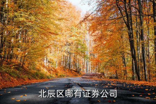 北辰區(qū)有什么證券工司，昆明北市區(qū)北辰小區(qū)或和諧世紀(jì)那邊有沒(méi)有證券交易所