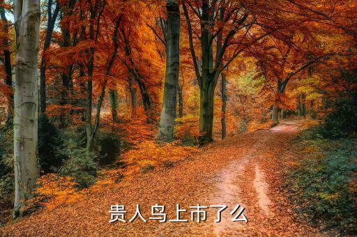 貴人鳥什么時間上市的，貴人鳥股票什么時候掛牌