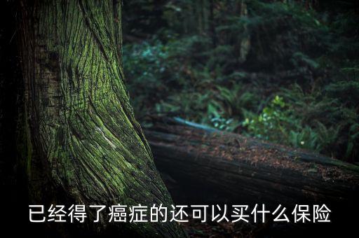 癌癥病人能買什么險(xiǎn)，癌癥患者能參加什么保險(xiǎn)