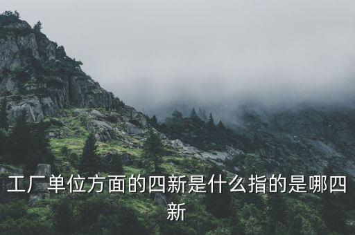 四新企業(yè)是什么，工廠單位方面的四新是什么指的是哪四新