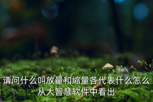 什么是放量和縮量圖片，請(qǐng)問(wèn)什么叫放量和縮量各代表什么怎么從大智慧軟件中看出