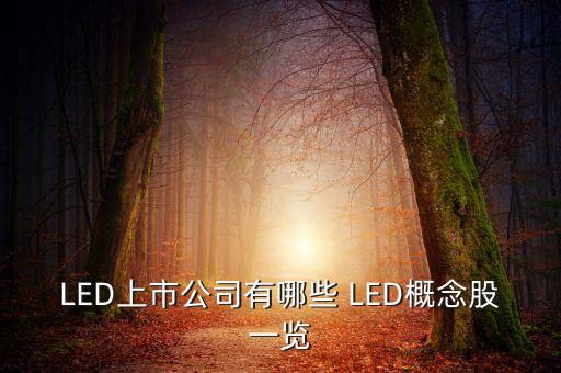 上市公司鴻什么視訊，視訊行業(yè)有哪些公司