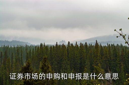 金融行業(yè)中的逐日申報(bào)是什么意思，外貿(mào)中到到銀行申報(bào)是什么意思申報(bào)什么呢哪位高人指點(diǎn)一下謝