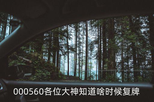 茂碩電源什么時間復牌，今天茂碩電源002660怎么停牌了什么時候開盤