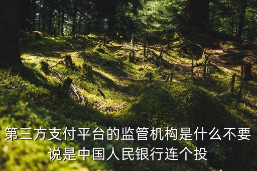 第三方支付平臺由什么機構(gòu)授權(quán)，第三方支付平臺的監(jiān)管機構(gòu)是什么不要說是中國人民銀行連個投