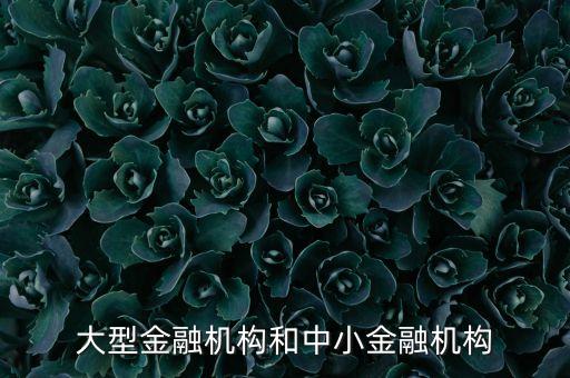 什么是中小金融機構，大型金融機構和中小金融機構