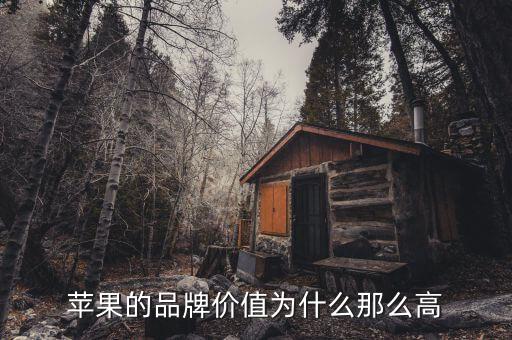 蘋果市值為什么那么高，蘋果的品牌價(jià)值為什么那么高