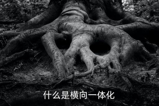 什么是橫向一體化
