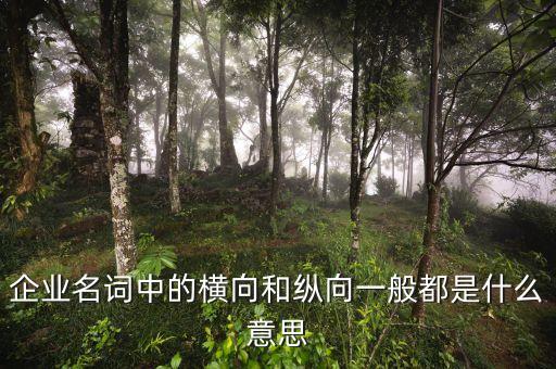 什么是企業(yè)橫向發(fā)展，什么是橫向一體化