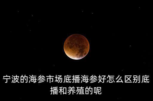 什么是底播海參，底播海參和非底播海參有什么區(qū)別