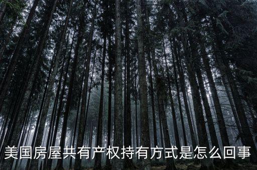 什么是共有產(chǎn)權(quán)產(chǎn)權(quán)模式，美國(guó)房屋共有產(chǎn)權(quán)持有方式是怎么回事