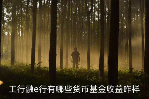 工行網(wǎng)銀有什么貨幣基金，工行融e行有哪些貨幣基金收益咋樣