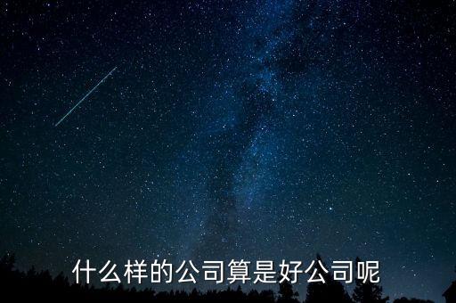 什么樣的公司是比較好的，有什么樣的公司是比較好的