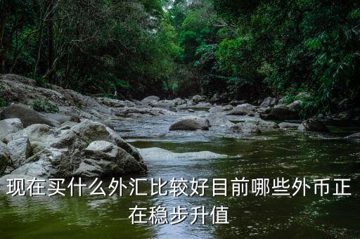 近期買什么外匯，預(yù)測人民幣匯率走勢是怎樣的 炒外匯現(xiàn)在買哪對外匯比較好