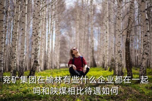 兗州煤業(yè)公司經(jīng)營什么，兗礦集團(tuán)在榆林有些什么企業(yè)都在一起嗎和陜煤相比待遇如何