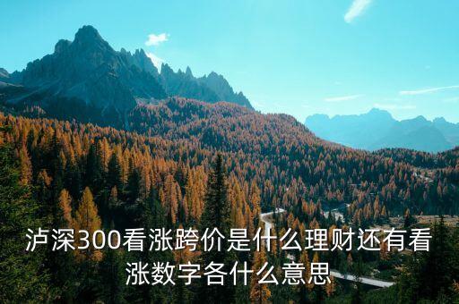 看漲跨價(jià)什么意思，理財(cái) 滬深300看漲跨價(jià)好不好