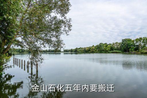 上?；瘜W(xué)工業(yè)區(qū)總體規(guī)劃,洪江市工業(yè)區(qū)總體規(guī)劃