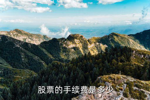過戶費(fèi)股票,股票過戶費(fèi)下調(diào)50%
