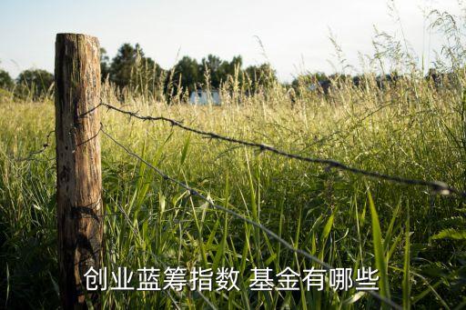 王保合基金經(jīng)理排名