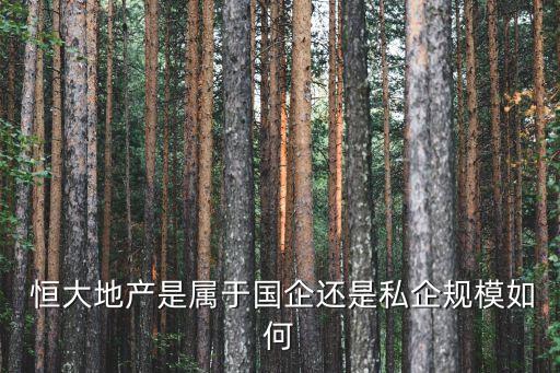 恒大集團組織結(jié)構(gòu)分析