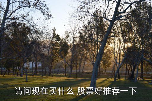 請(qǐng)問(wèn)現(xiàn)在買什么 股票好推薦一下