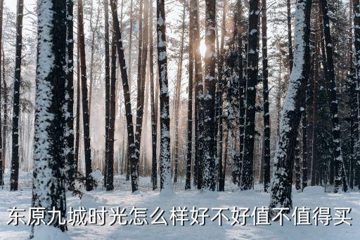 東原九城時(shí)光怎么樣好不好值不值得買(mǎi)