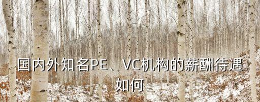 國內(nèi)外知名PE、VC機(jī)構(gòu)的薪酬待遇如何