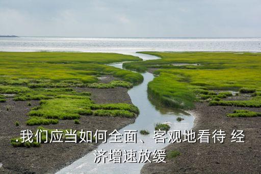 .我們應(yīng)當(dāng)如何全面、客觀地看待 經(jīng)濟增速放緩