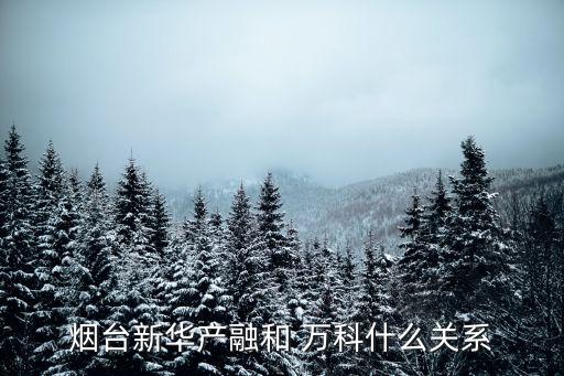萬(wàn)科集團(tuán)旗下的公司