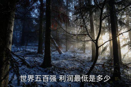 中國利潤(rùn)500強(qiáng),世界企業(yè)利潤(rùn)500強(qiáng)