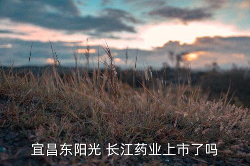 長江醫(yī)藥投資,湖北長江醫(yī)藥集團