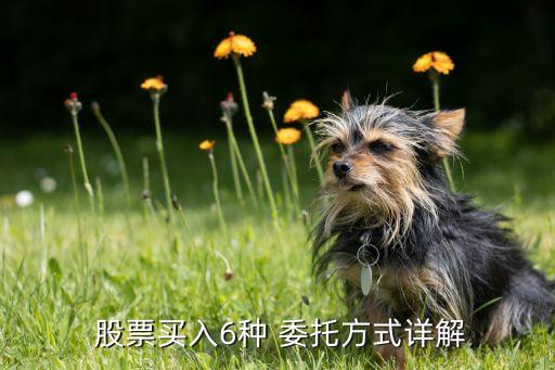  股票買(mǎi)入6種 委托方式詳解
