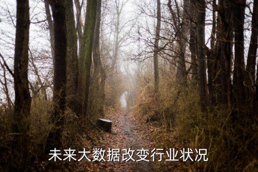 未來(lái)大數(shù)據(jù)改變行業(yè)狀況