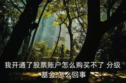 我開通了股票賬戶怎么購買不了 分級(jí) 基金,怎么回事