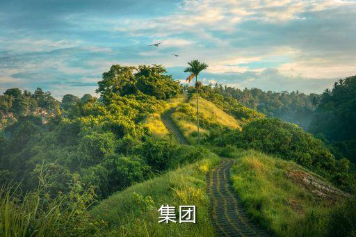 萬鴻集團(tuán)