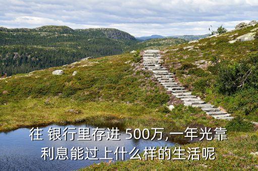 去銀行存錢500萬(wàn)現(xiàn)金,銀行存錢超過(guò)5萬(wàn)填寫什么?