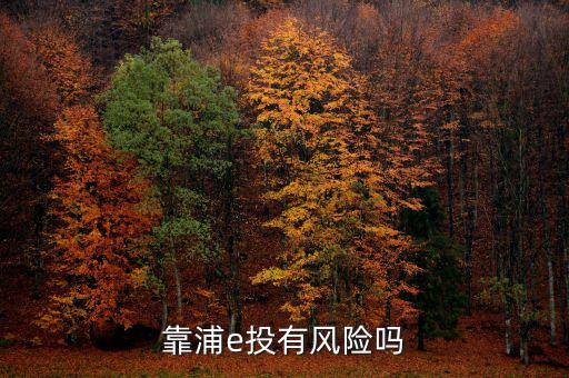 靠浦e投有風(fēng)險嗎