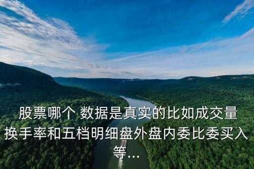  股票哪個 數(shù)據(jù)是真實(shí)的比如成交量換手率和五檔明細(xì)盤外盤內(nèi)委比委買入等...