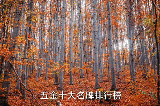 上海堅(jiān)朗五金制品有限公司,堅(jiān)朗五金制品有限公司新人入職白總裁文章觀后感