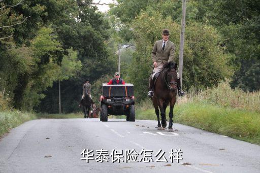 華泰保險遼寧分公司