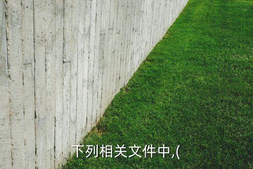 下列相關文件中,(
