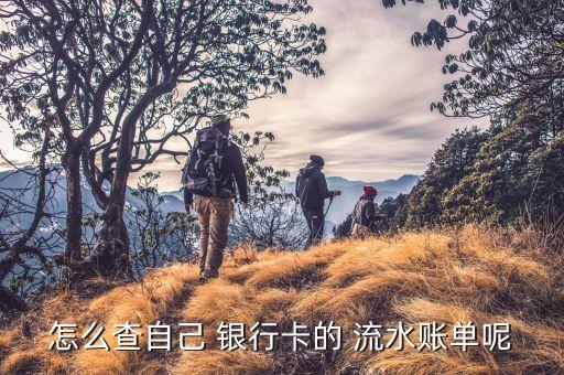 銀行會(huì)查詢(xún)流水,銀行查詢(xún)流水正常后可以馬上用卡嗎?