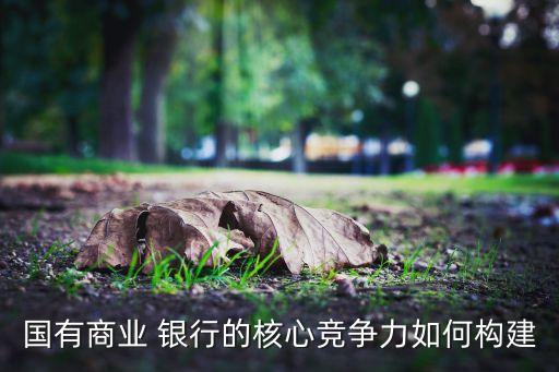 國有商業(yè) 銀行的核心競爭力如何構(gòu)建